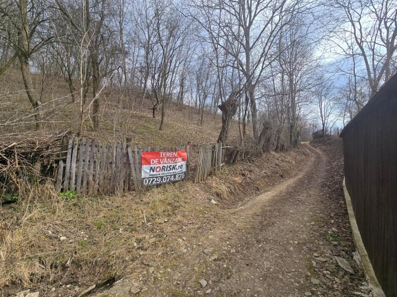 Cerasu, Prahova, oportunitate investitie teren, 3.485 mp, view spectaculos